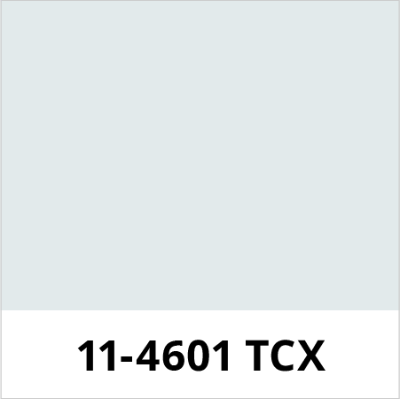 megapro-custom-color-pantone-11-4601-txc